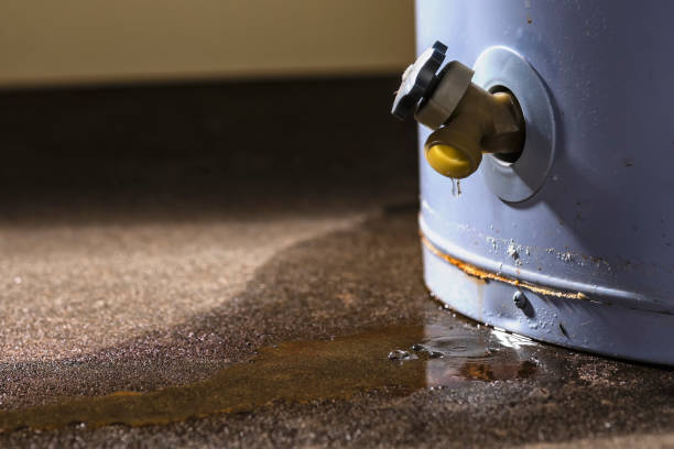 Best Water damage cleanup near me  in Stanton, TX