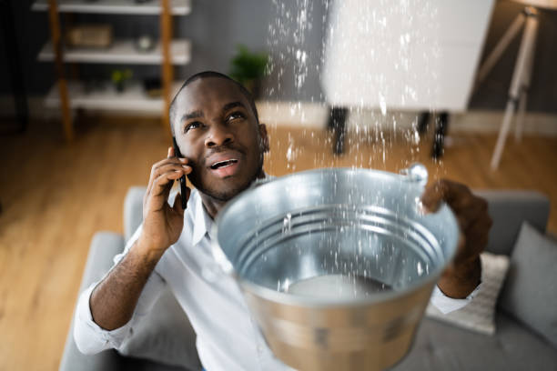 Best Ceiling water damage repair  in Stanton, TX