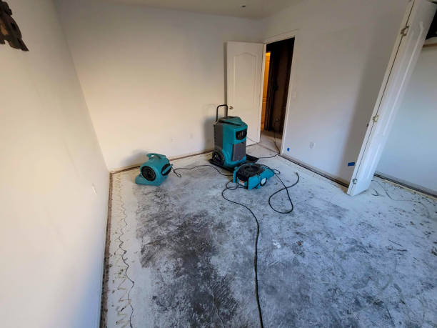 Best Flooded house restoration  in Stanton, TX