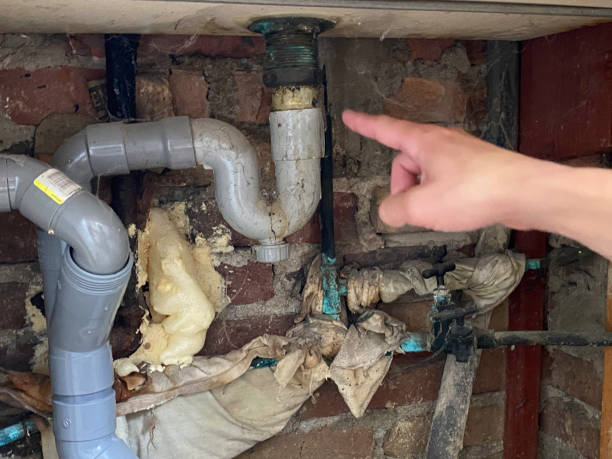 Best Water damage cleanup near me  in Stanton, TX